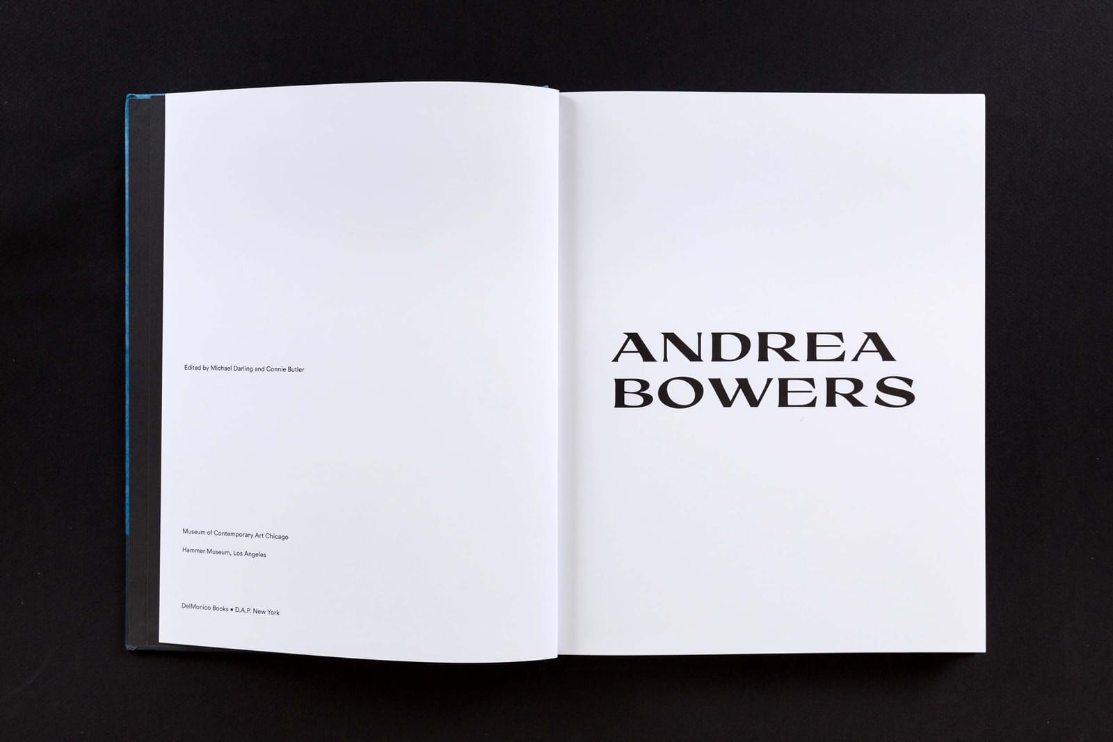 Andrea Bowers