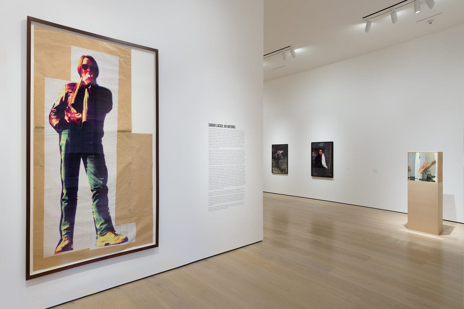 Sarah Lucas, Au Naturel