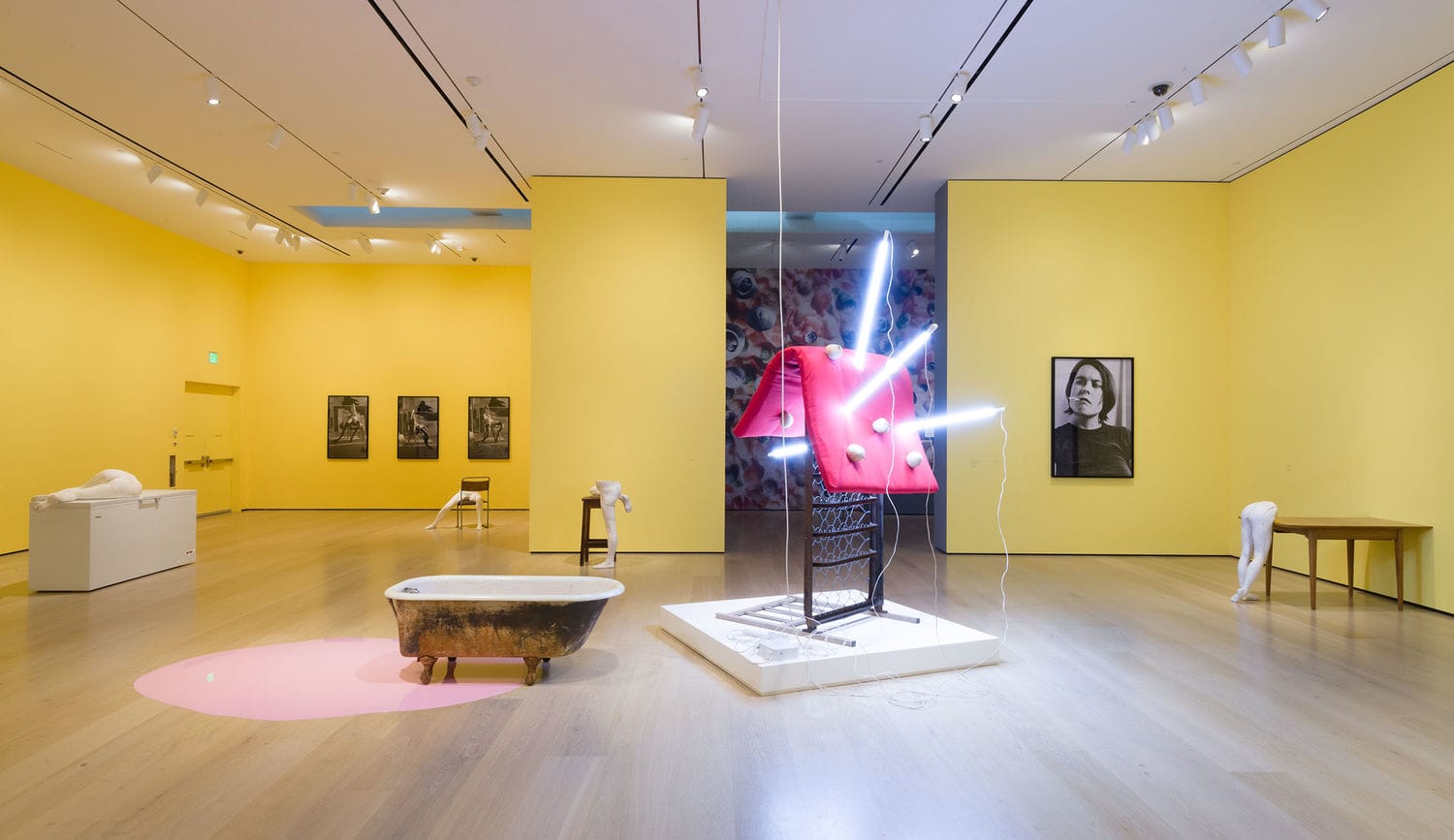Sarah Lucas, Au Naturel