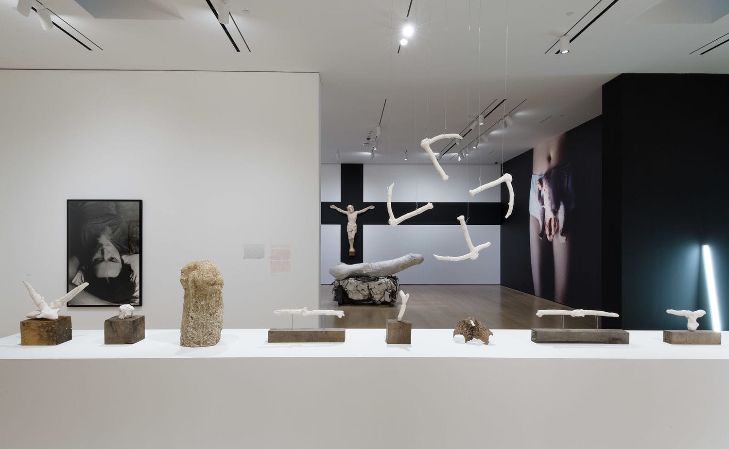 Sarah Lucas, Au Naturel
