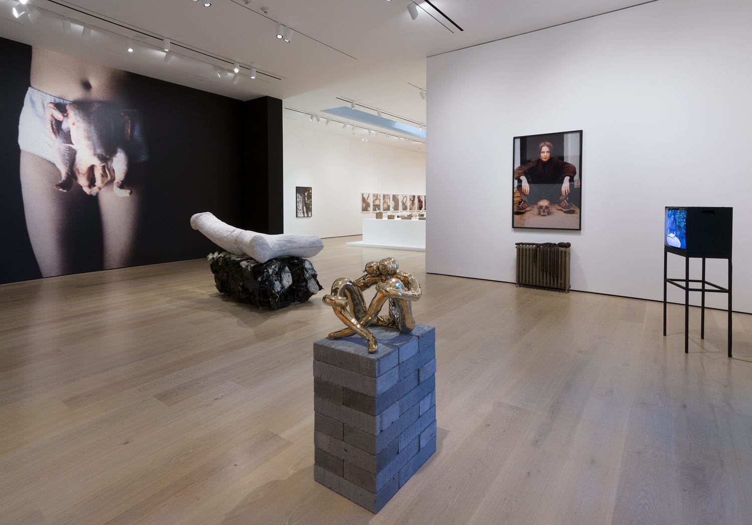 Sarah Lucas, Au Naturel