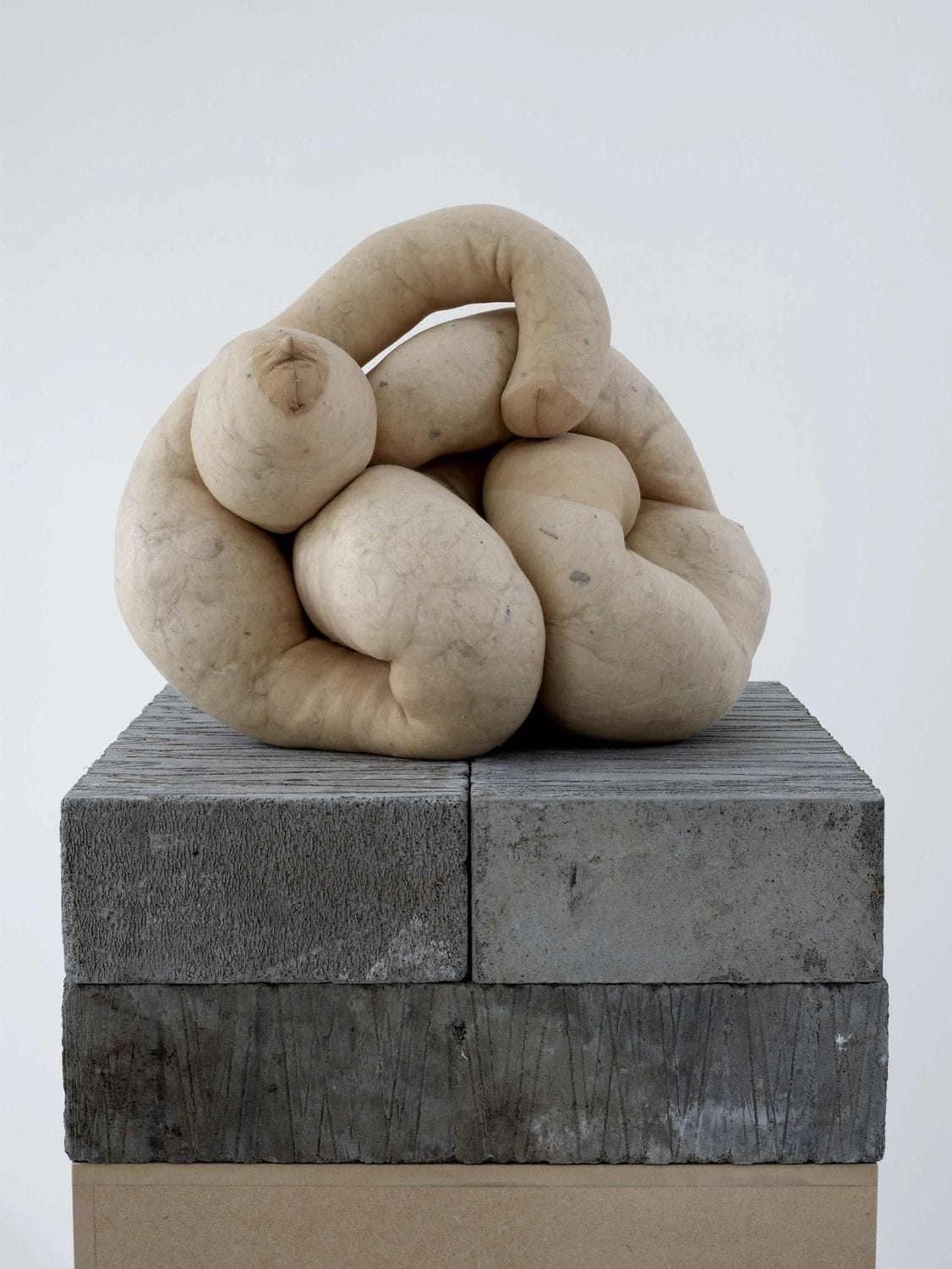 Sarah Lucas, Au Naturel
